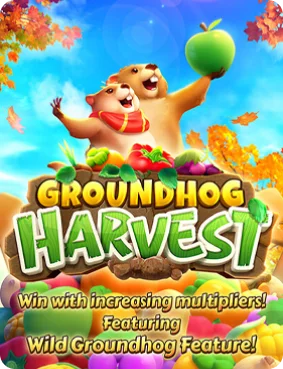 groundhog harvest